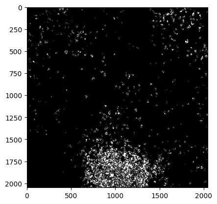 ../_images/Tutorials_Read_spatial_omics_21_0.png
